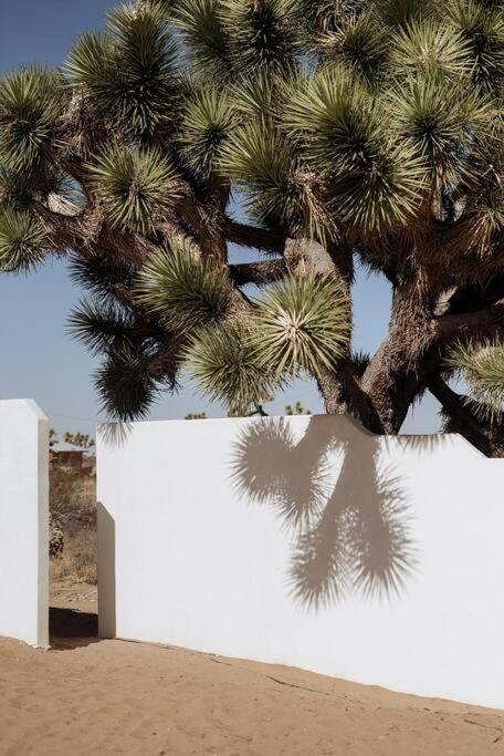 Villa Le Chacuel Joshua Tree Exterior foto